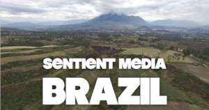 Animal Farming & the Jungle: Reporting from Brazil