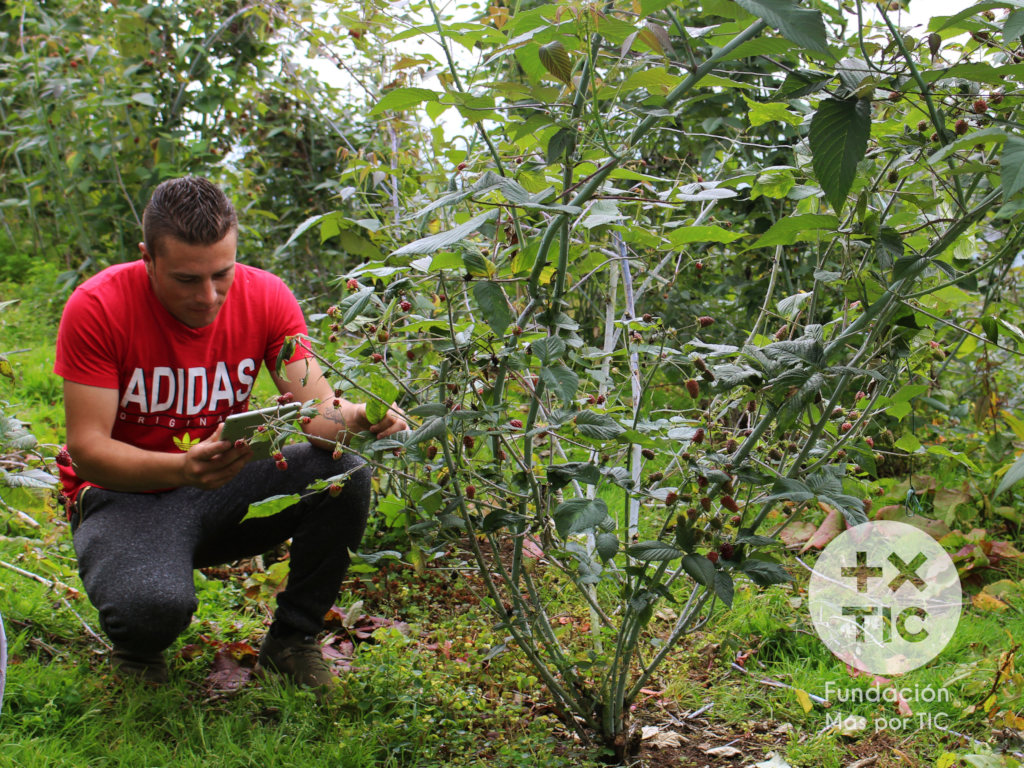 Bring digital technology to 550 Colombian Farmers