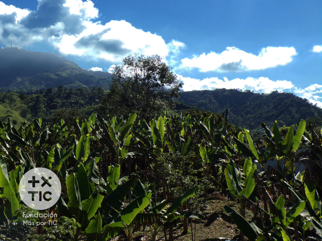 Bring digital technology to 550 Colombian Farmers