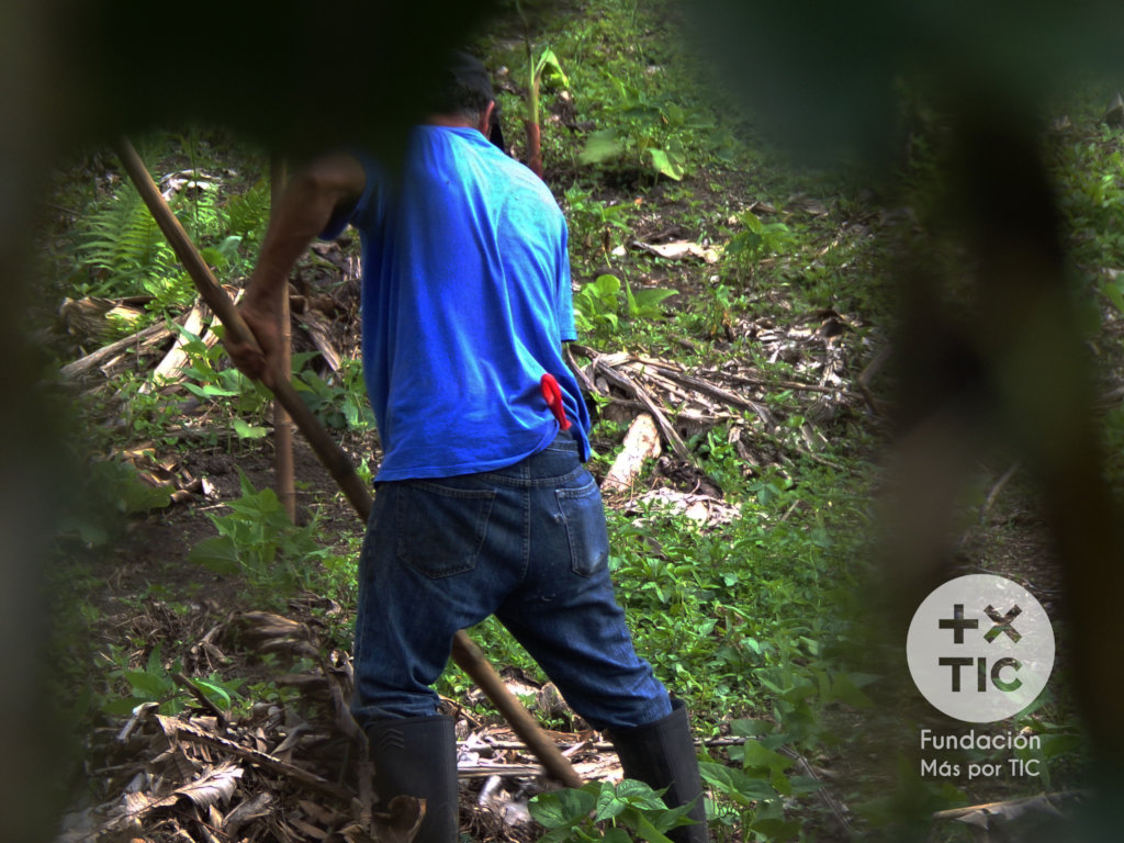 Bring digital technology to 550 Colombian Farmers