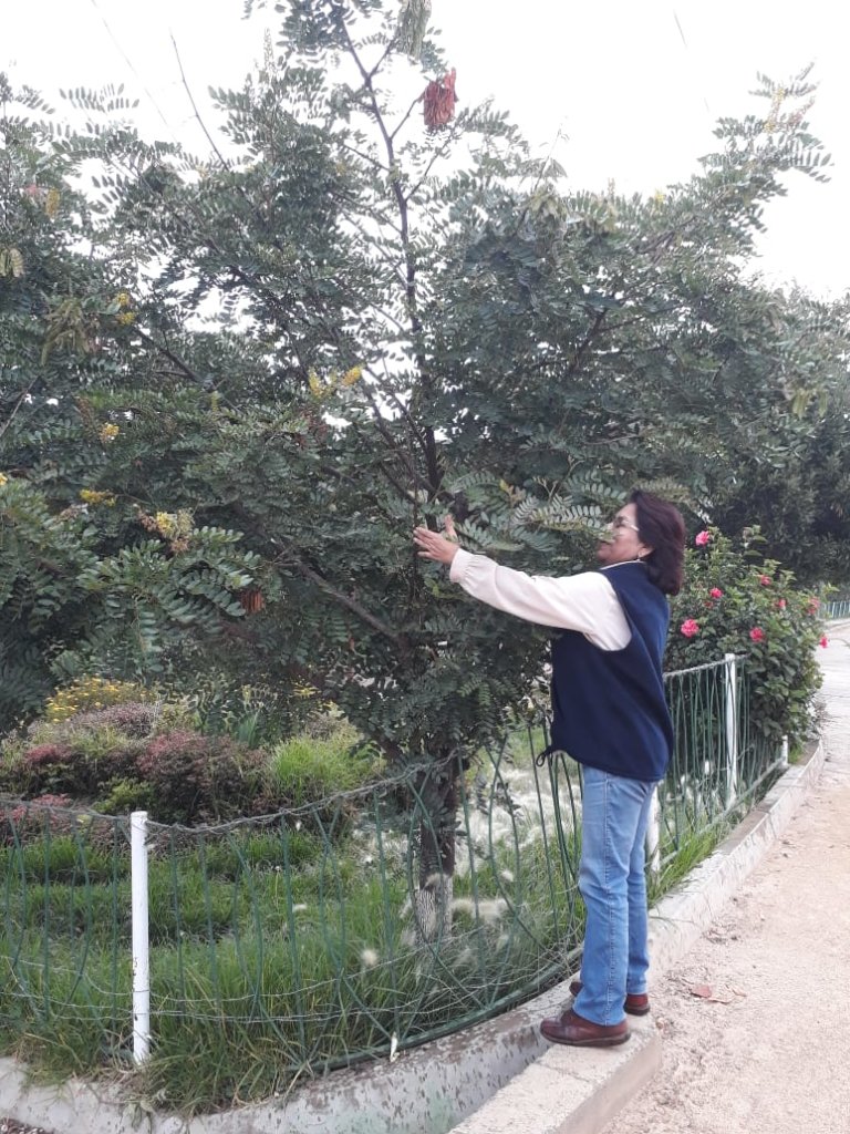 Educate & Plant: Empower 400 Bolivian Women
