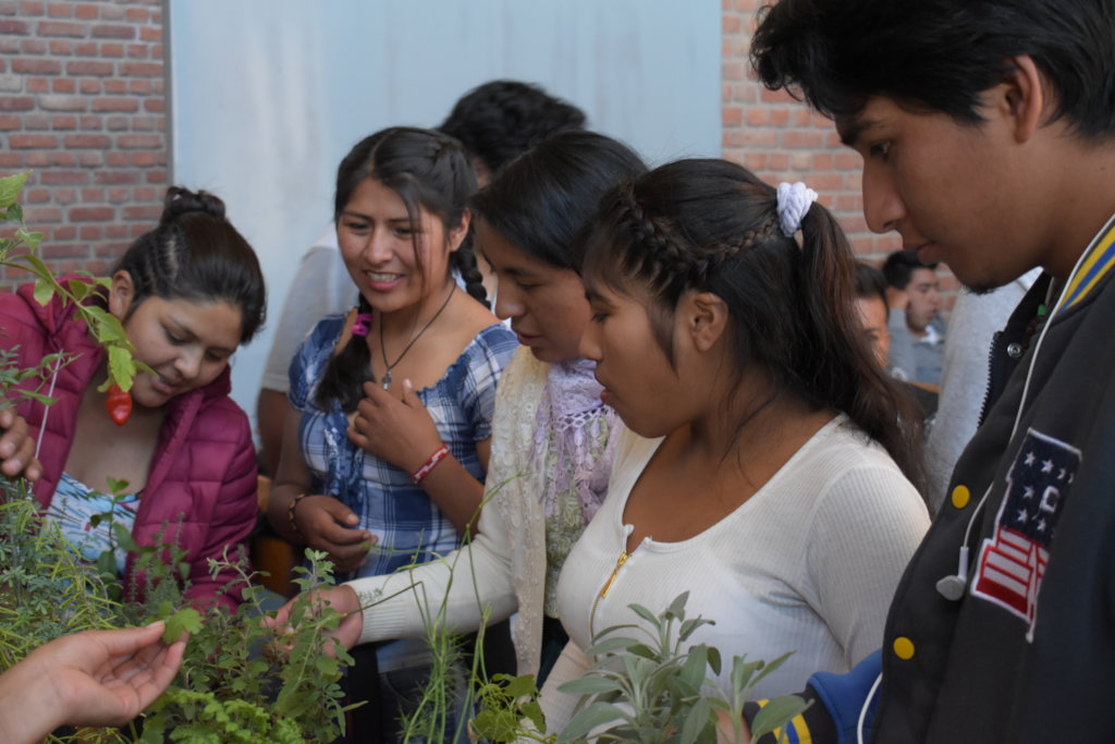 Educate & Plant: Empower 400 Bolivian Women