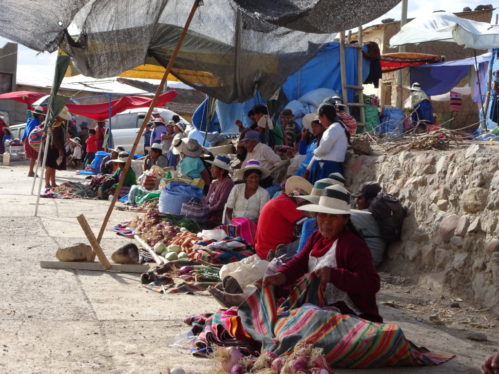Educate & Plant: Empower 400 Bolivian Women