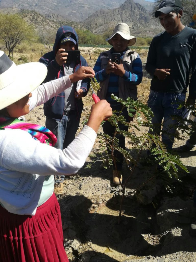 Educate & Plant: Empower 400 Bolivian Women