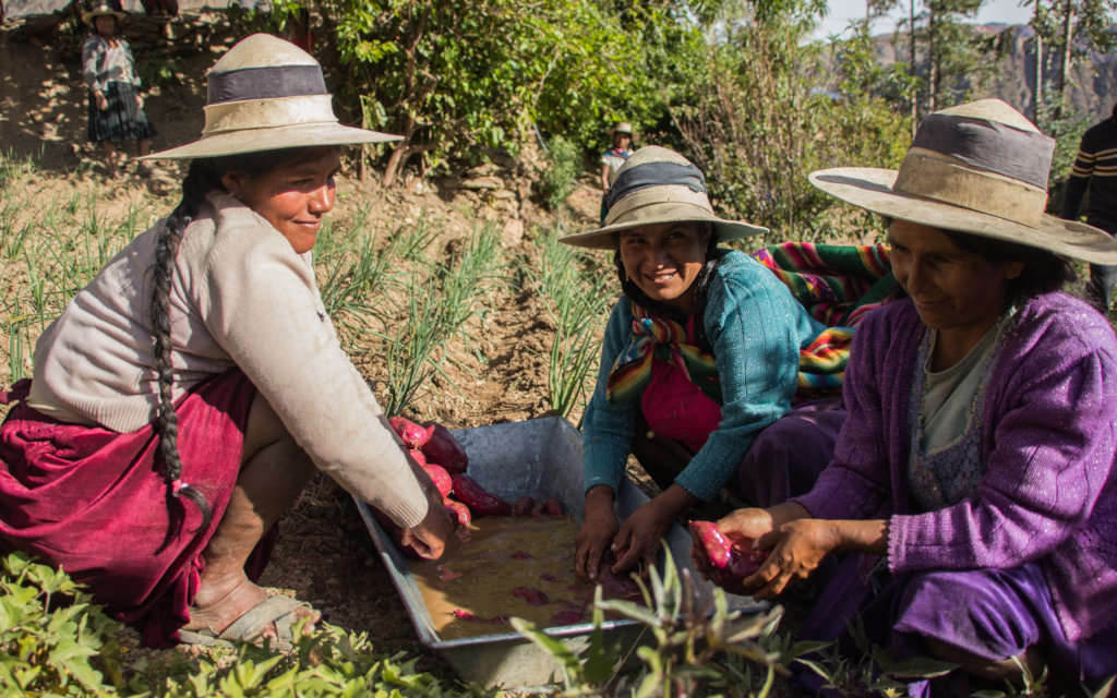Educate & Plant: Empower 400 Bolivian Women