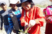 Educate & Plant: Empower 400 Bolivian Women
