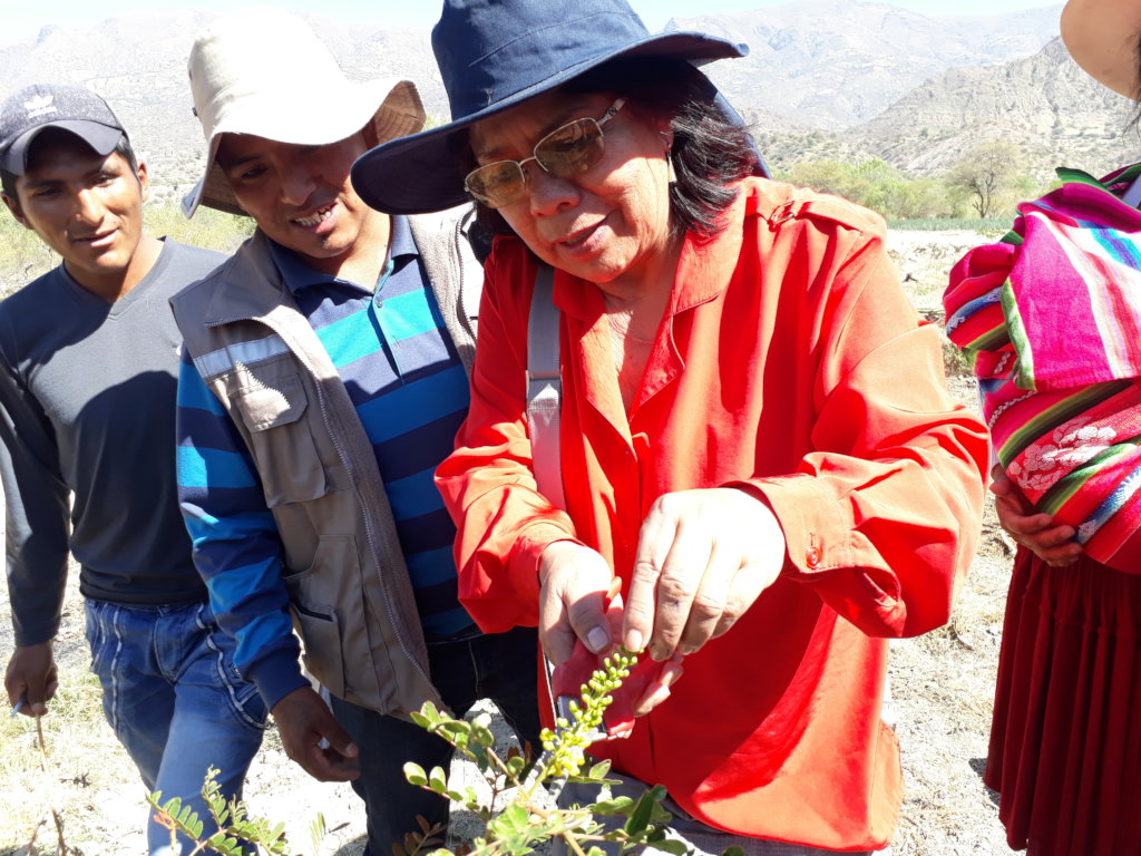 Educate & Plant: Empower 400 Bolivian Women