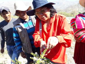 Educate & Plant: Empower 400 Bolivian Women