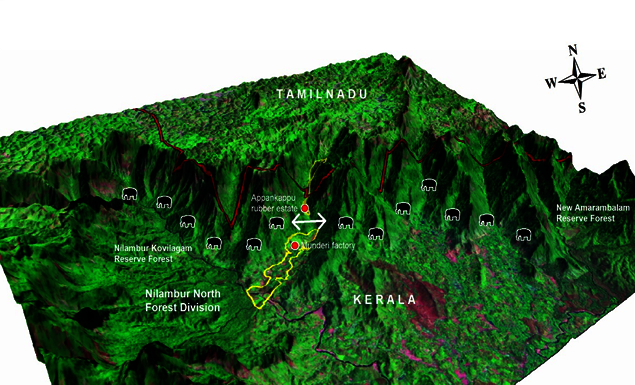 The Kerala Corridor Project 4 Wild Asian Elephants