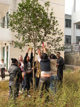 Tree planting ceremony to end the program