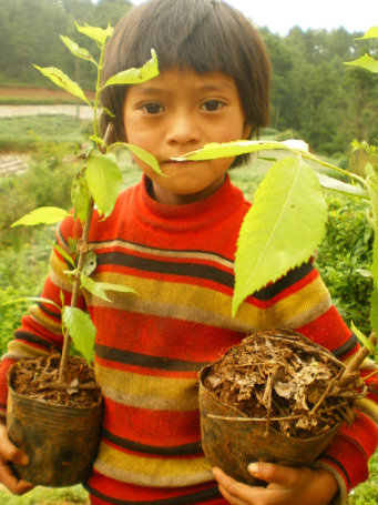 Empower 50,000 Young Green Ambassadors in China