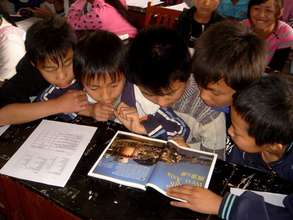 Creating Green Corners in School Libraries