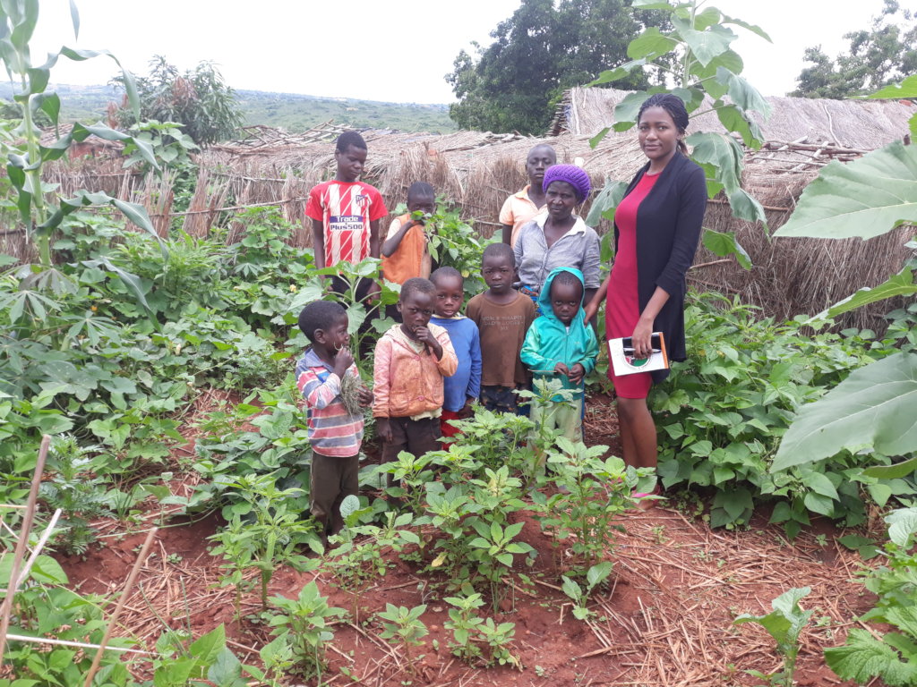 Improve nutrition status of 200 children in Malawi - GlobalGiving
