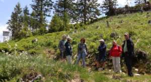 Visit to Carpathia
