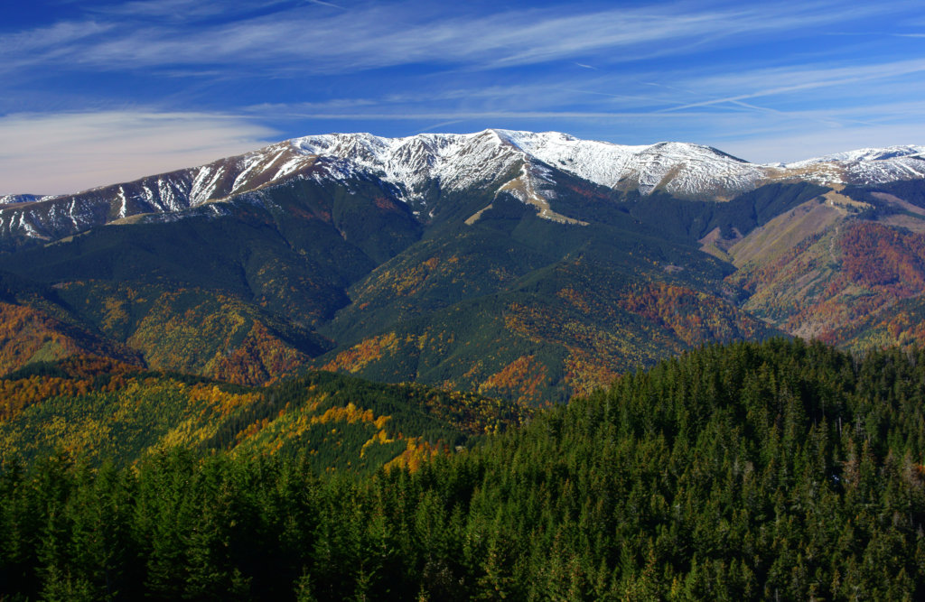 Protect Biodiversity in Romania
