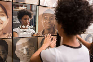 Understanding the past builds peace for the future