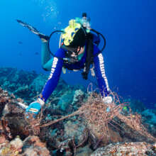 By photographer Renee Capozzola - Deep Step site