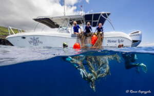 By photographer Renee Capozzola - Deep Step site
