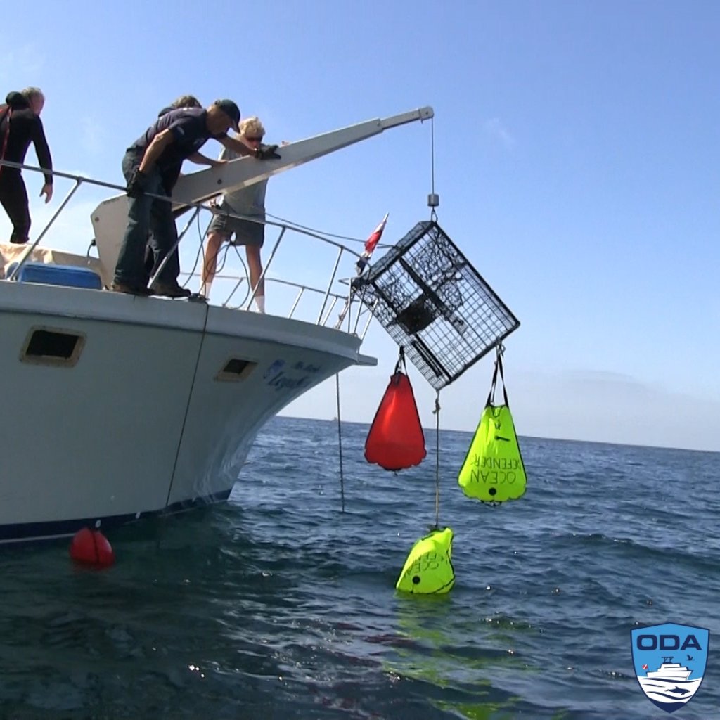 Clean-Up Tons of Debris from the Ocean & Beaches