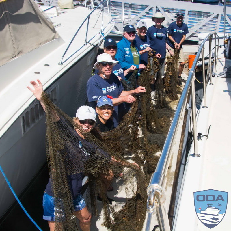 Clean-Up Tons of Debris from the Ocean & Beaches