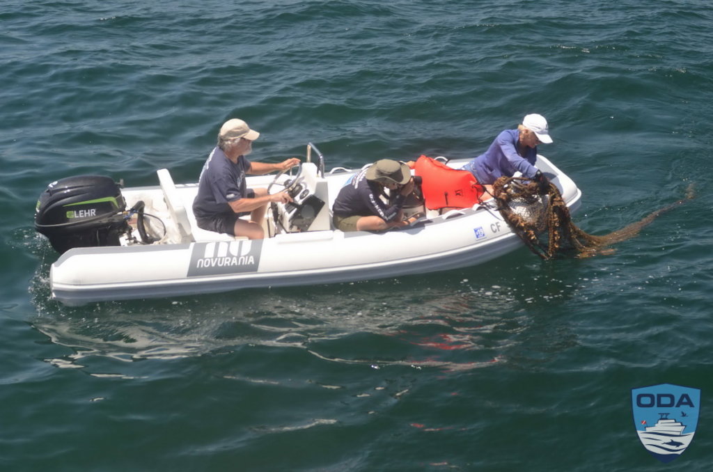 Clean-Up Tons of Debris from the Ocean & Beaches