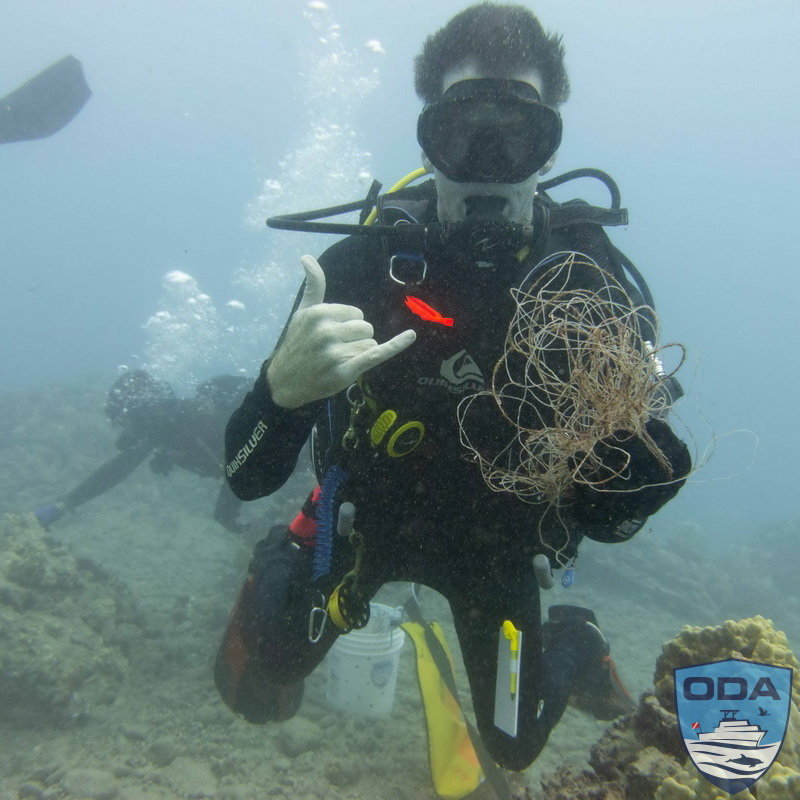 Clean-Up Tons of Debris from the Ocean & Beaches