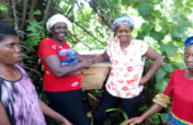 Lift 50 Rural Women Above Poverty Level In Nigeria