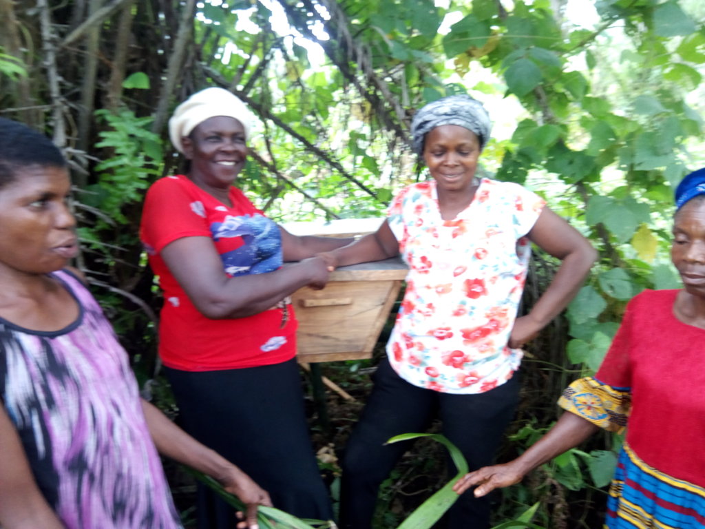 Lift 50 Rural Women Above Poverty Level In Nigeria