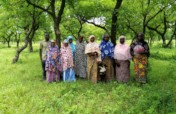 Conserve 5 Shea Parkland in Ghana with Beekeeping