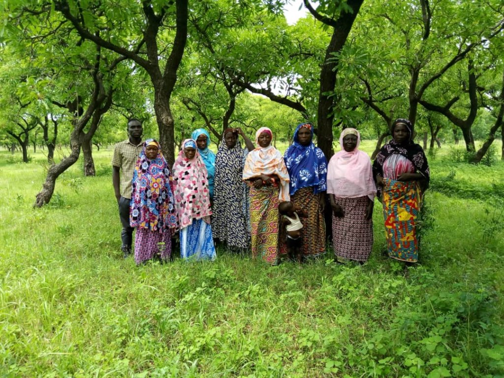 Conserve 5 Shea Parkland in Ghana with Beekeeping