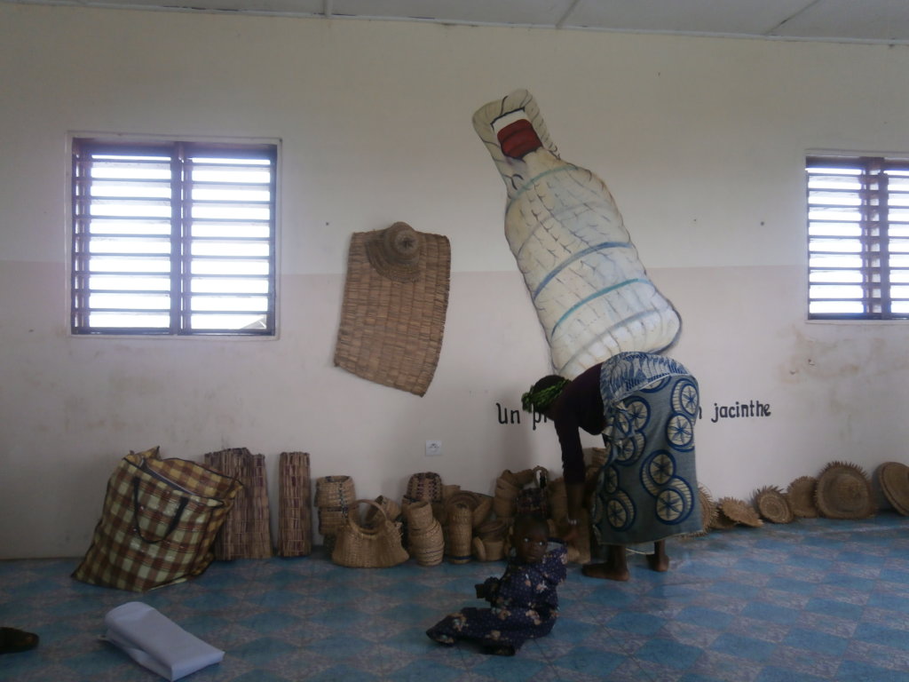 Improve the income of 50 rural poor women in Benin