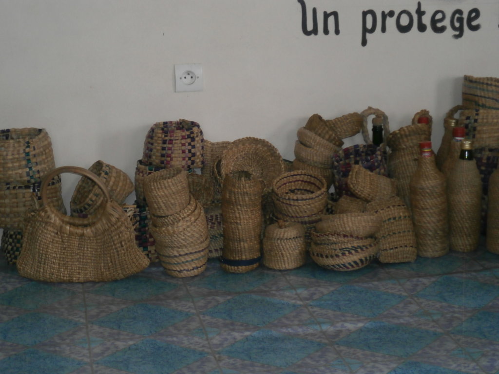 Improve the income of 50 rural poor women in Benin