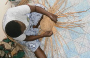 Improve the income of 50 rural poor women in Benin
