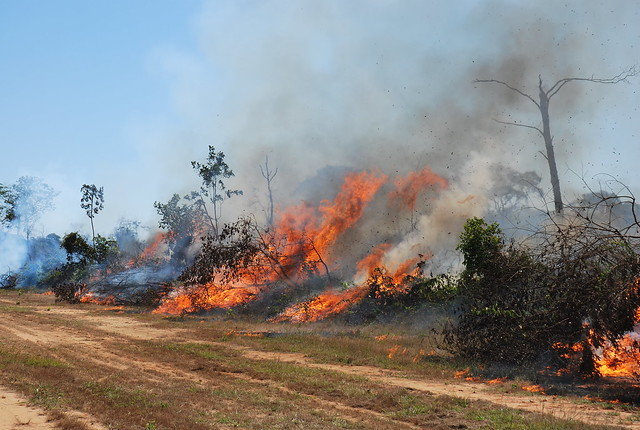 Help an Indigenous Village Contain Amazon Fires