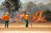 Help an Indigenous Village Contain Amazon Fires