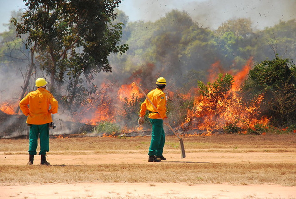 Help an Indigenous Village Contain Amazon Fires