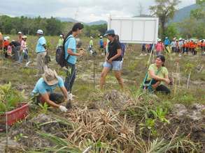 Planting of 2000 Trees