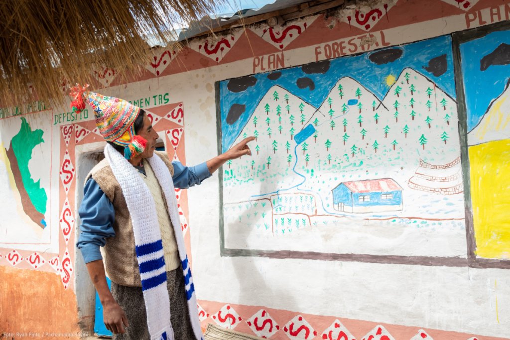 Chimpa Alccassana afforestation project