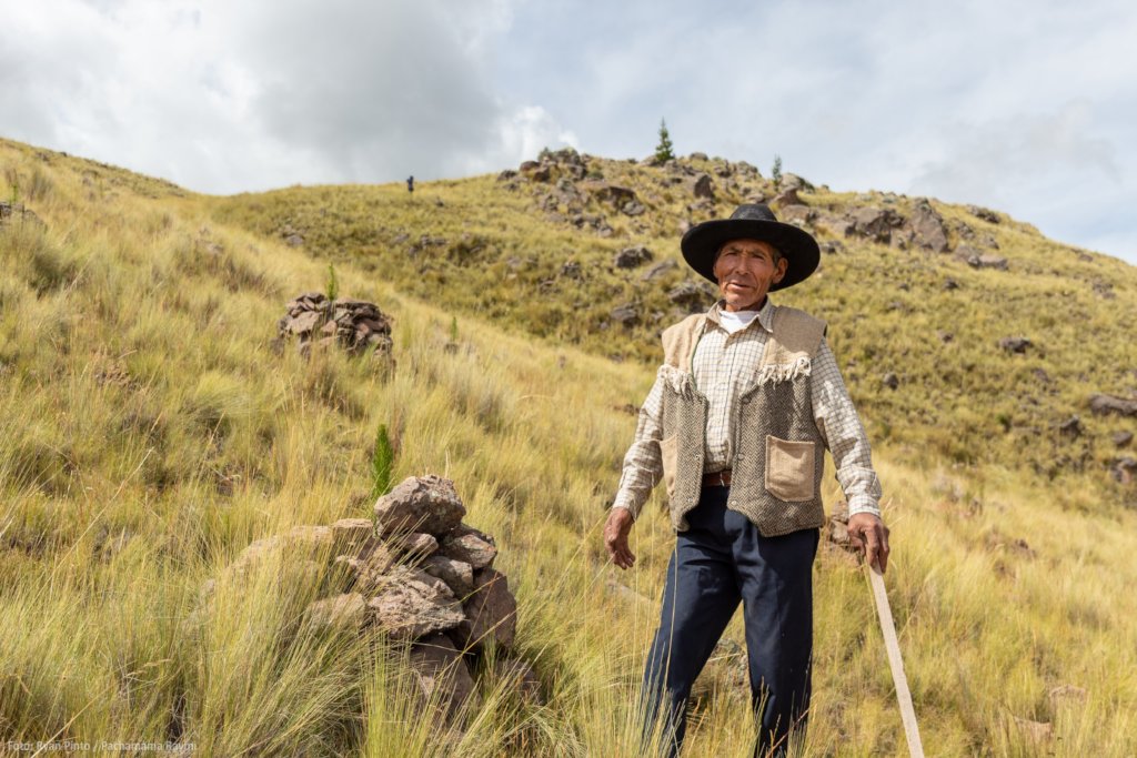 Chimpa Alccassana afforestation project