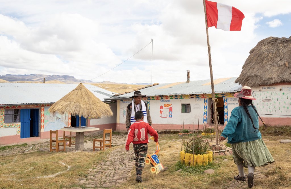 Chimpa Alccassana afforestation project