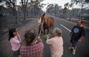 Aus Animal Disaster Aid