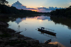 Amazon River Running Through The Vale do Javari