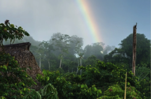 Vale do Javari courtesy Celine Cousteau