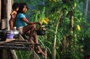 The Vale do Javari Next Generation