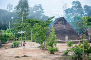 Village in the Vale do Javari