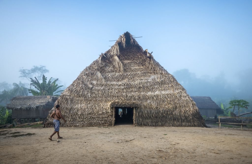 Protect the Amazon Rainforest and its Guardians