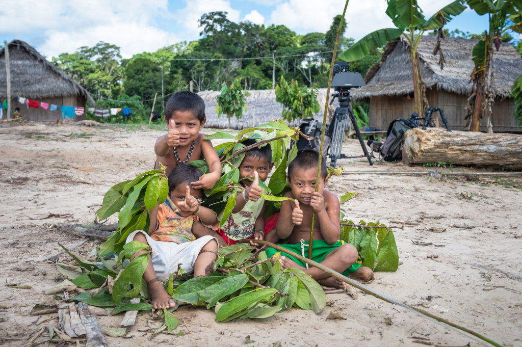 Protect the Amazon Rainforest and its Guardians