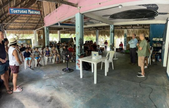 Sea Turtle Inauguration ceremony in the Hawaii Par