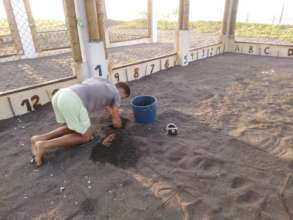 Burying eggs in our new hatchery