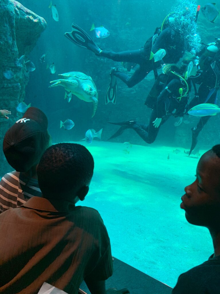 Beneficiaries at the Cape Town Aquarium